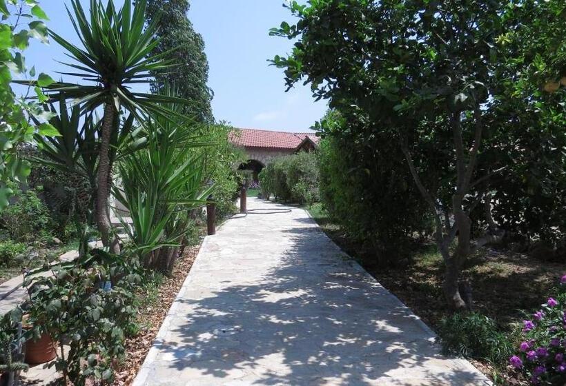 Курорт Elausa Hotel & Restaurant