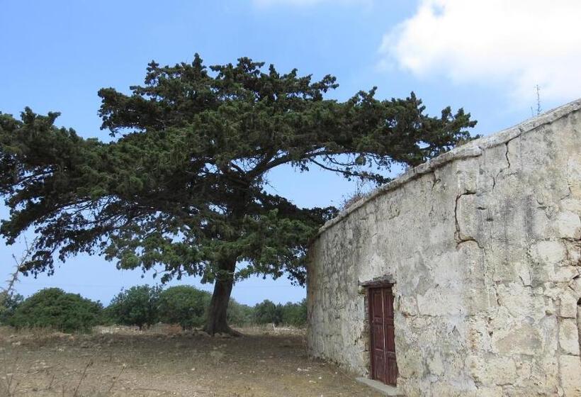 Курорт Elausa Hotel & Restaurant