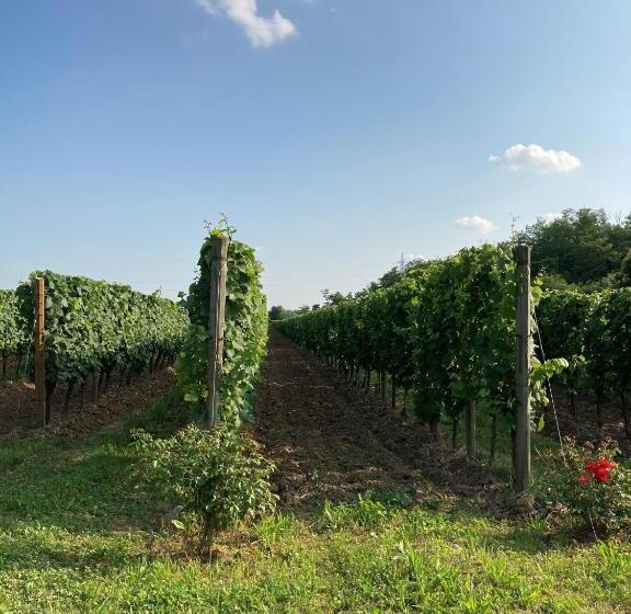 호텔 Agriturismo Ripa Del Bosco