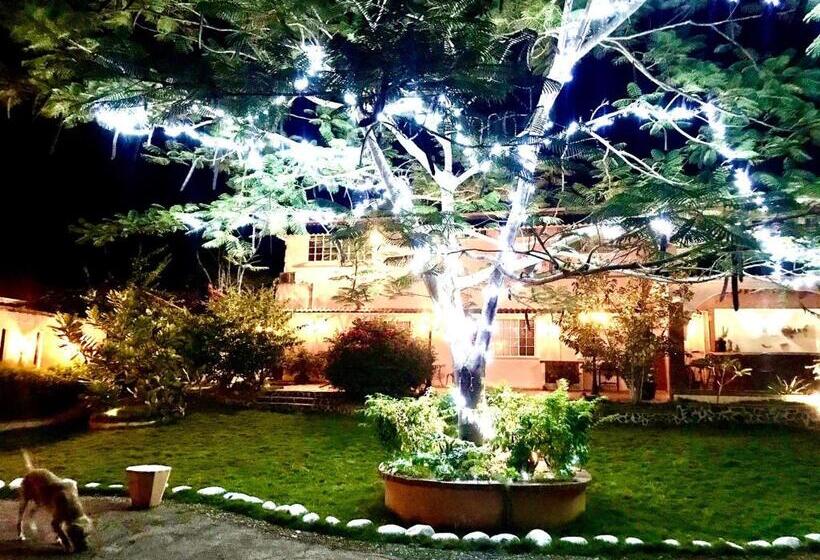 فندق صغير Cafegourmetptacorona