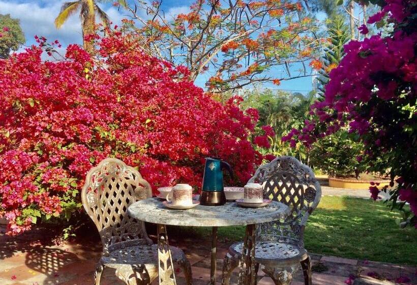 فندق صغير Cafegourmetptacorona