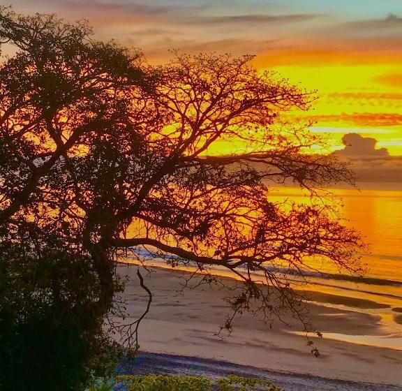 فندق صغير Cafegourmetptacorona