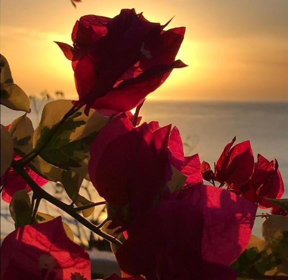 فندق صغير Cafegourmetptacorona