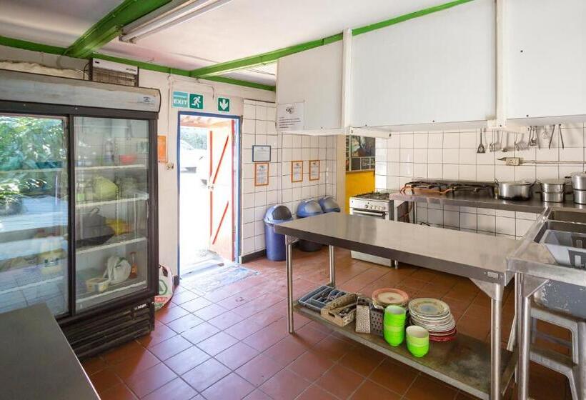 فندق صغير Coffee Shack Adventure Backpackers & Self Catering