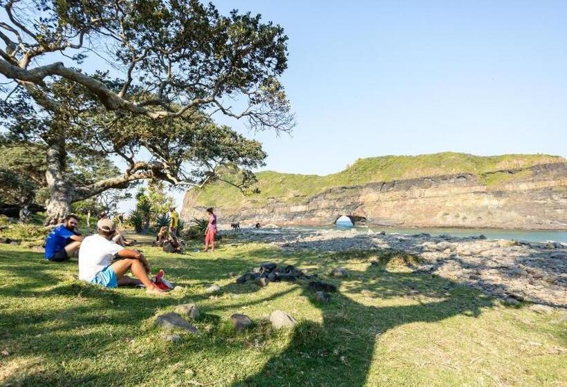 הוסטל Coffee Shack Adventure Backpackers & Self Catering