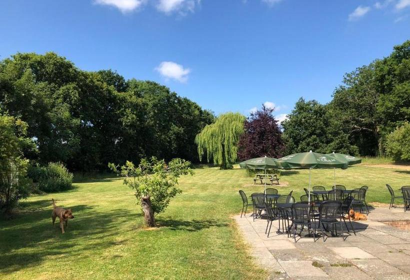 Bed and Breakfast George & Dragon Country Pub & Hotel Wolverton Townsend