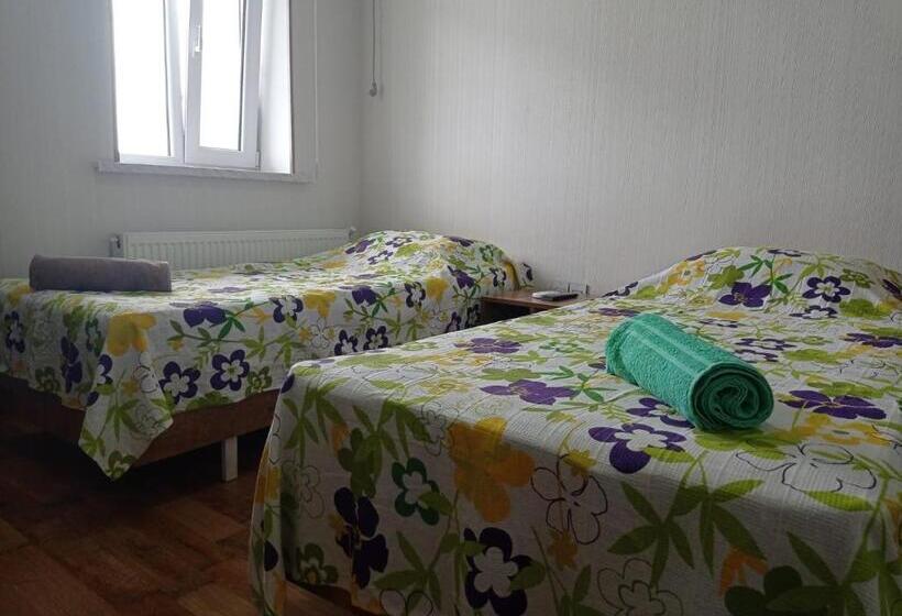 پانسیون Bizim Ev Hostel