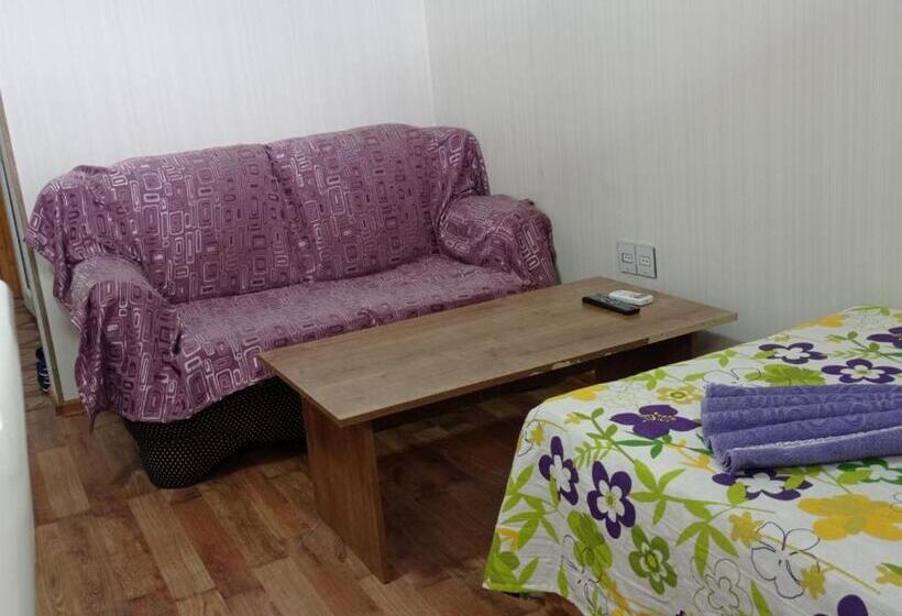 پانسیون Bizim Ev Hostel