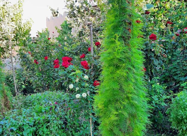 ペンション Guest House Khiva Boyjon Ota