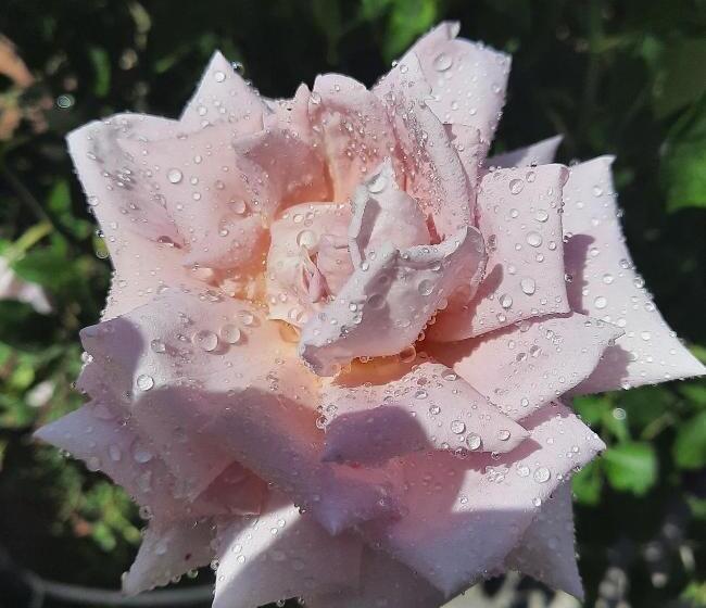 ペンション Guest House Khiva Boyjon Ota