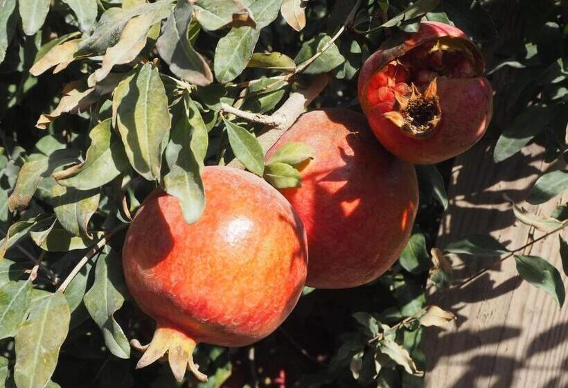 ペンション Guest House Khiva Boyjon Ota