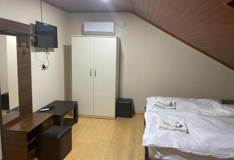 پانسیون Mtskheta Wellpoint Arsukidze 48