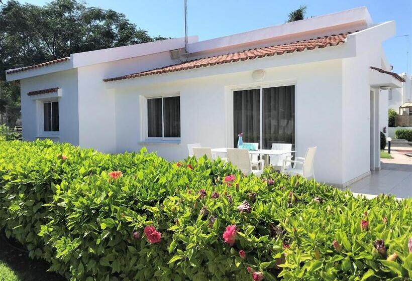 بنسيون Fig Tree Z Holiday Resort