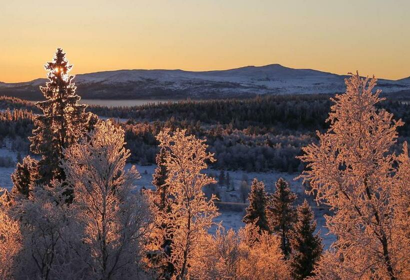 Skarvruets Högfjällshotell