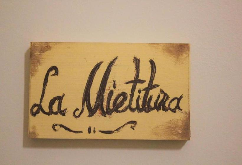 צימר Belice Rooms