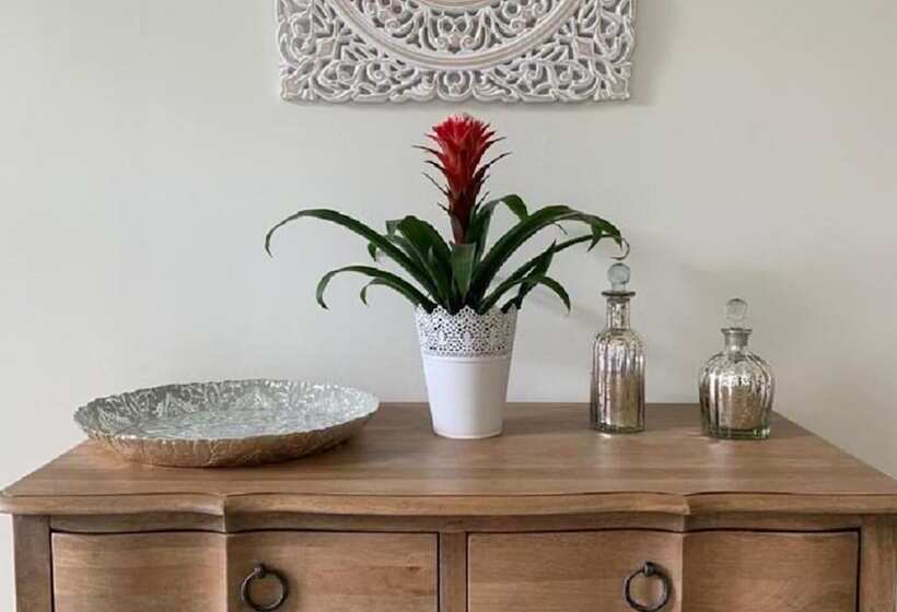 مبيت وإفطار Llwynhelig Manor