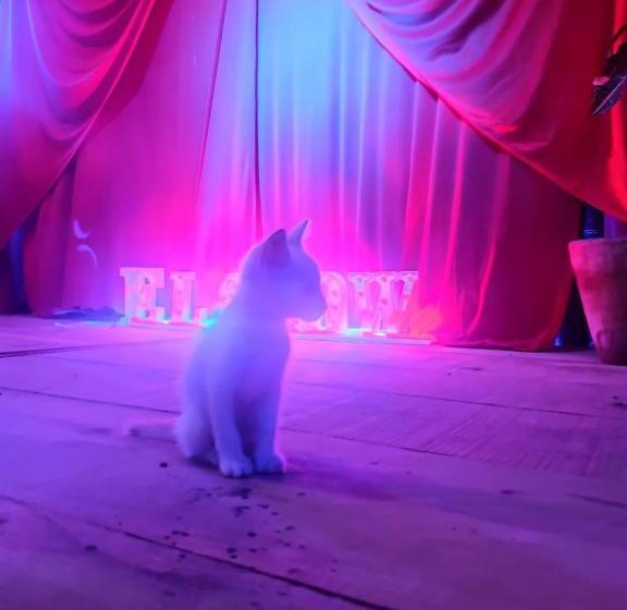 בית מלון כפרי La Máxima & Lgbt