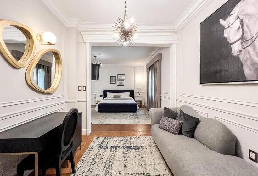 Отель Mansión E. Borbón