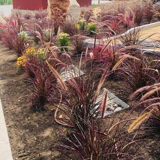 فندق Quinta De Maderne