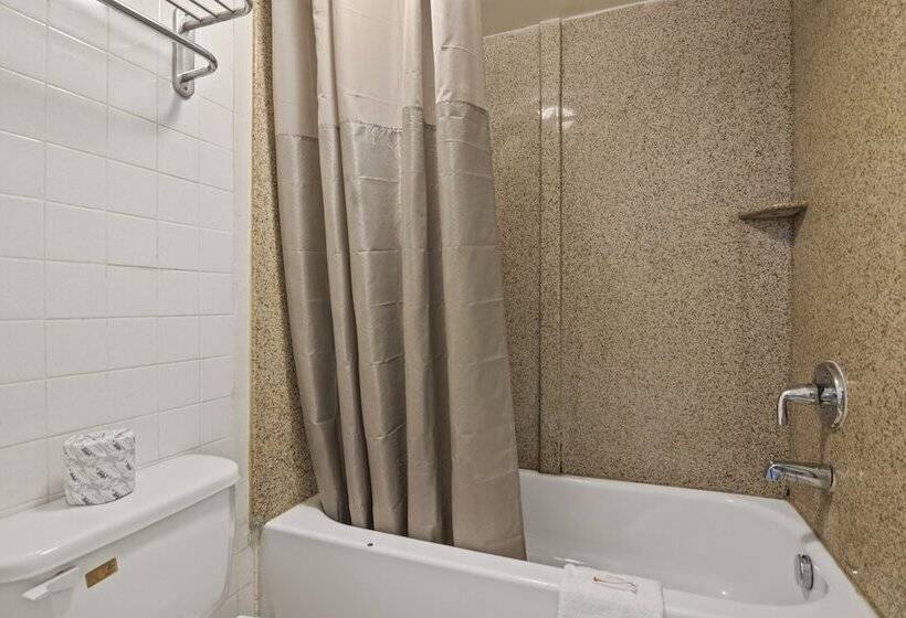 فندق على الطريق Economy Lodge Portsmouth