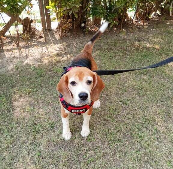 ペンション Gardenia 29