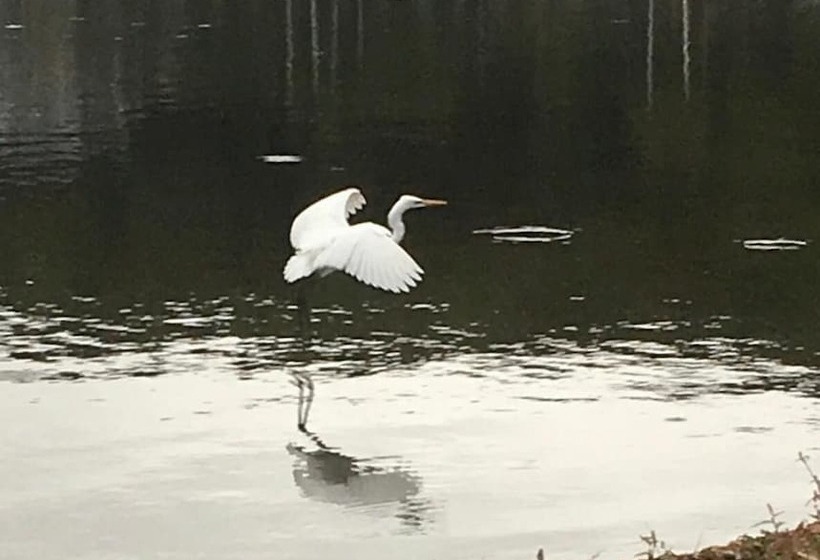 پانسیون Guest House Zen