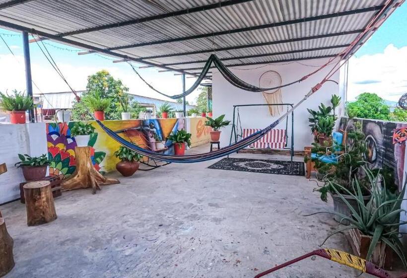 بنسيون Shoffi S House Backpackers