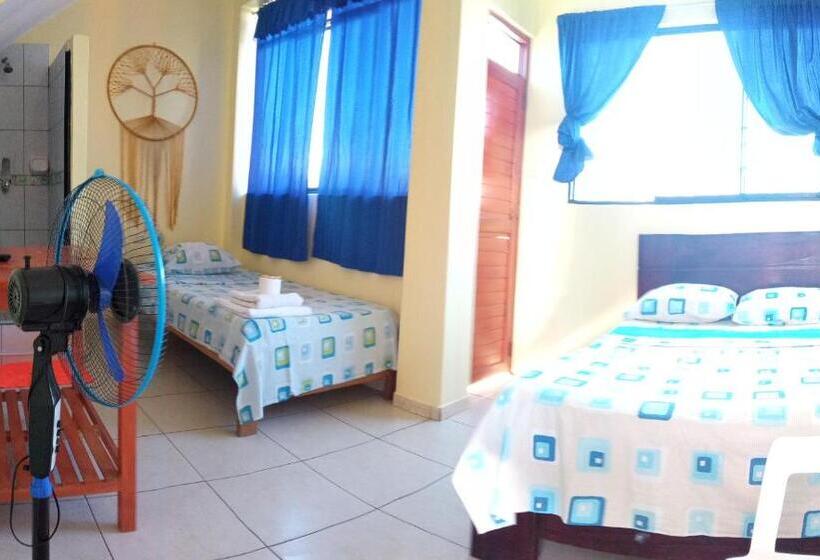 بنسيون Shoffi S House Backpackers