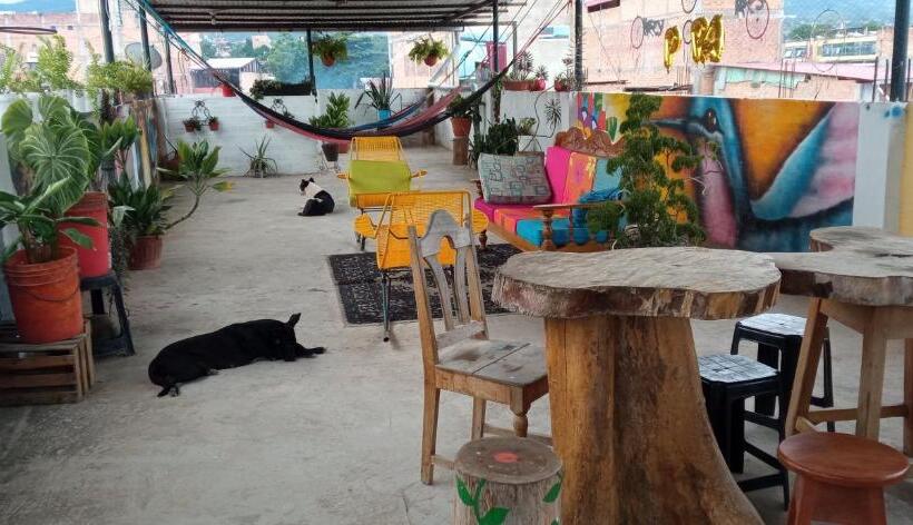 بنسيون Shoffi S House Backpackers