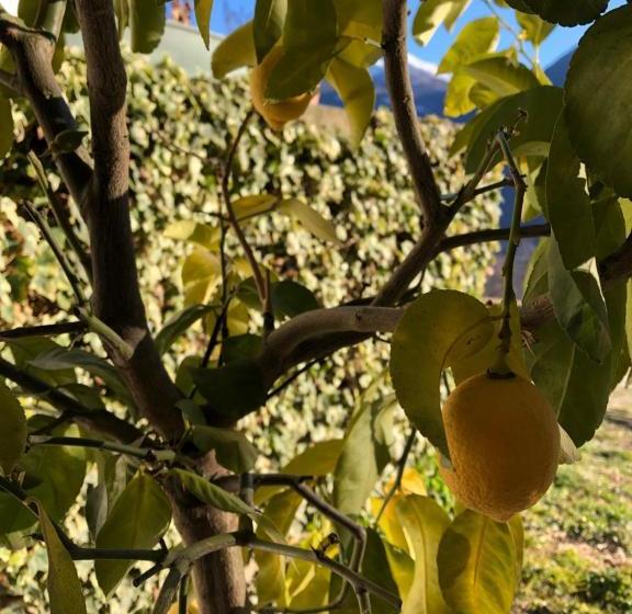 مبيت وإفطار Agriturismo Cavria