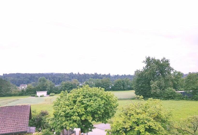 Easy Living Buholz Hoch 12