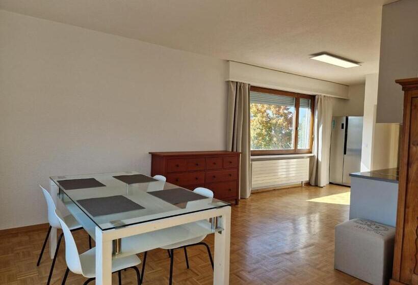 Easy Living Buholz Hoch 12