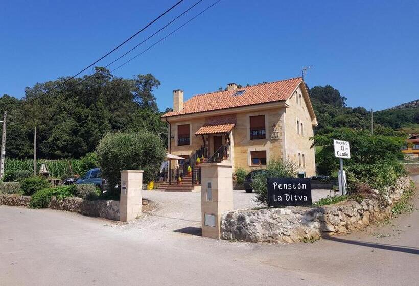 호스텔 La Oliva