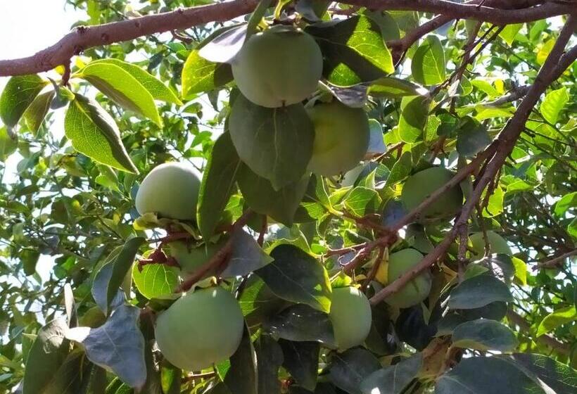 צימר Sotto L Eremo