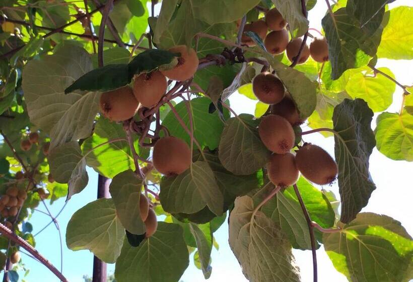 تختخواب و صبحانه Sotto L Eremo
