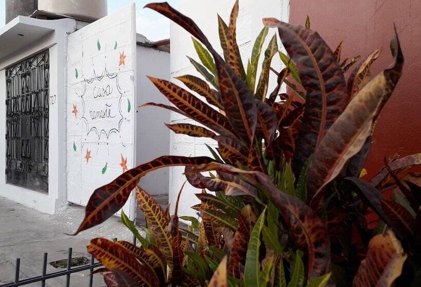 Casa Namaste Hostel