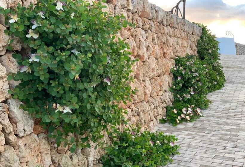 ホテル Agroturismo Llucasaldent Gran Menorca   Adults Only