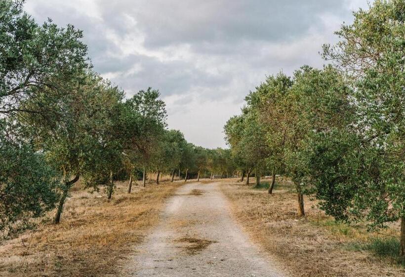 ホテル Agroturismo Llucasaldent Gran Menorca   Adults Only