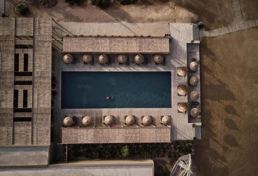 ホテル Casa Cook El Gouna   Adults Only