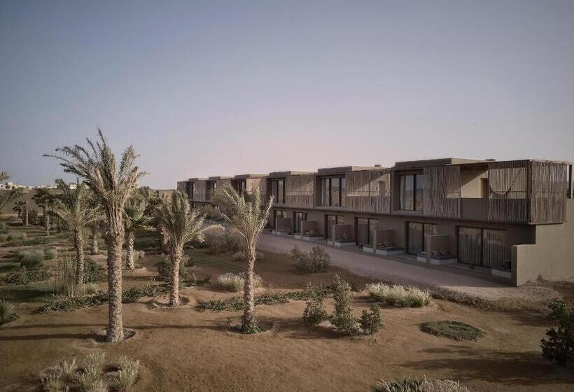 ホテル Casa Cook El Gouna   Adults Only