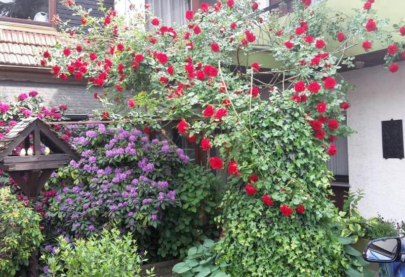 בית מלון כפרי Römerhof