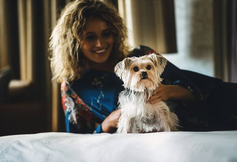 فندق The Ben, Autograph Collection