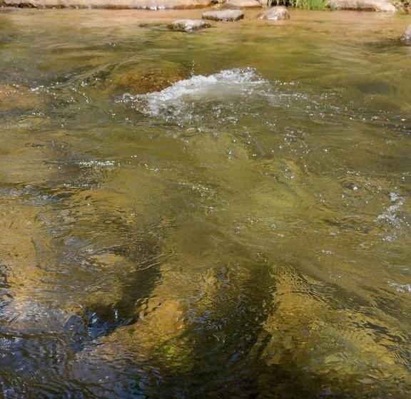 Пансион Pousada Toque De Minas
