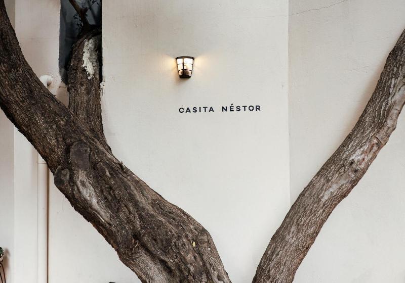 ベッドアンドブレックファースト Villa Nestor