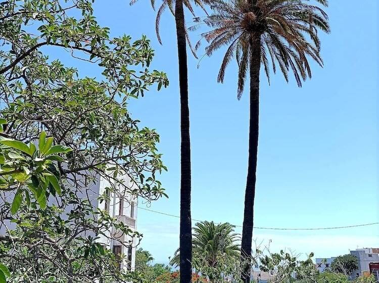 ベッドアンドブレックファースト Villa Nestor