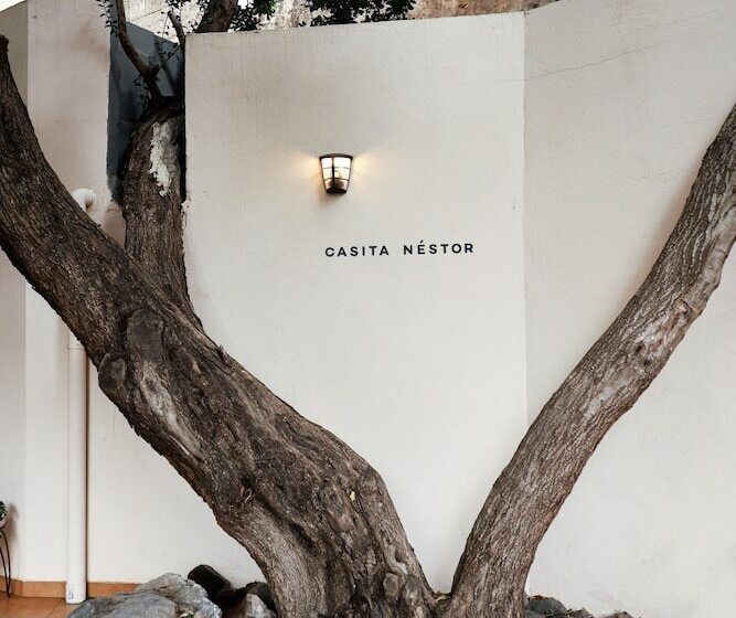 تختخواب و صبحانه Villa Nestor