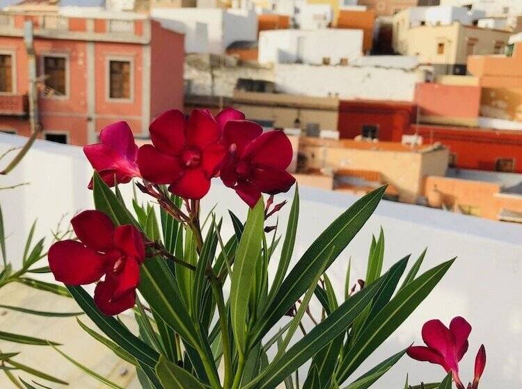 ベッドアンドブレックファースト Villa Nestor