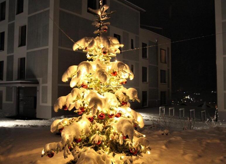 Emma S B&b   Self Check In