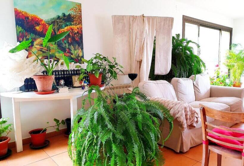 ホテル El Rincón De La Espe