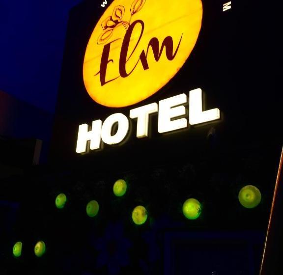 Отель Elm